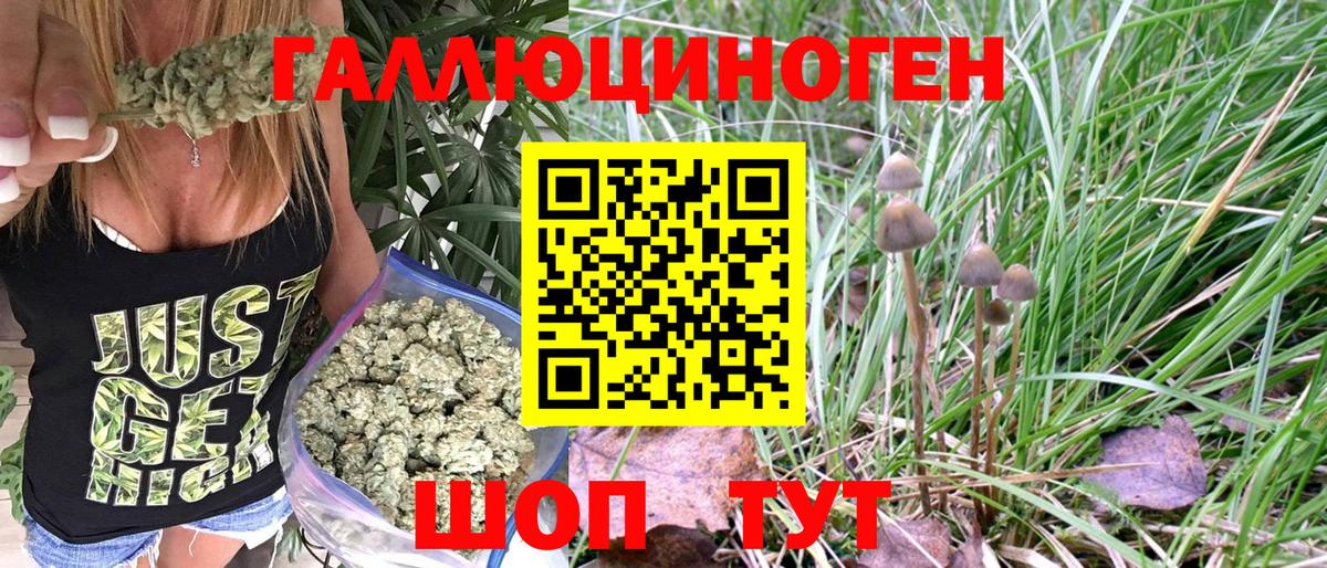 Галлюциногенные грибы Psilocybine cubensis  Вход с VPN  Медногорск 