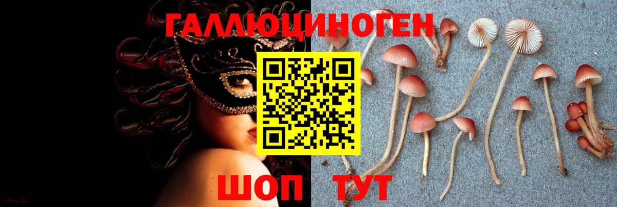 Галлюциногенные грибы MAGIC MUSHROOMS Медногорск